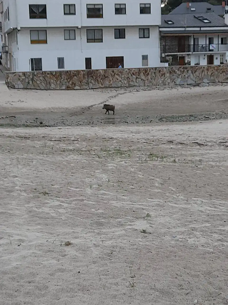 20220808_212150.webp