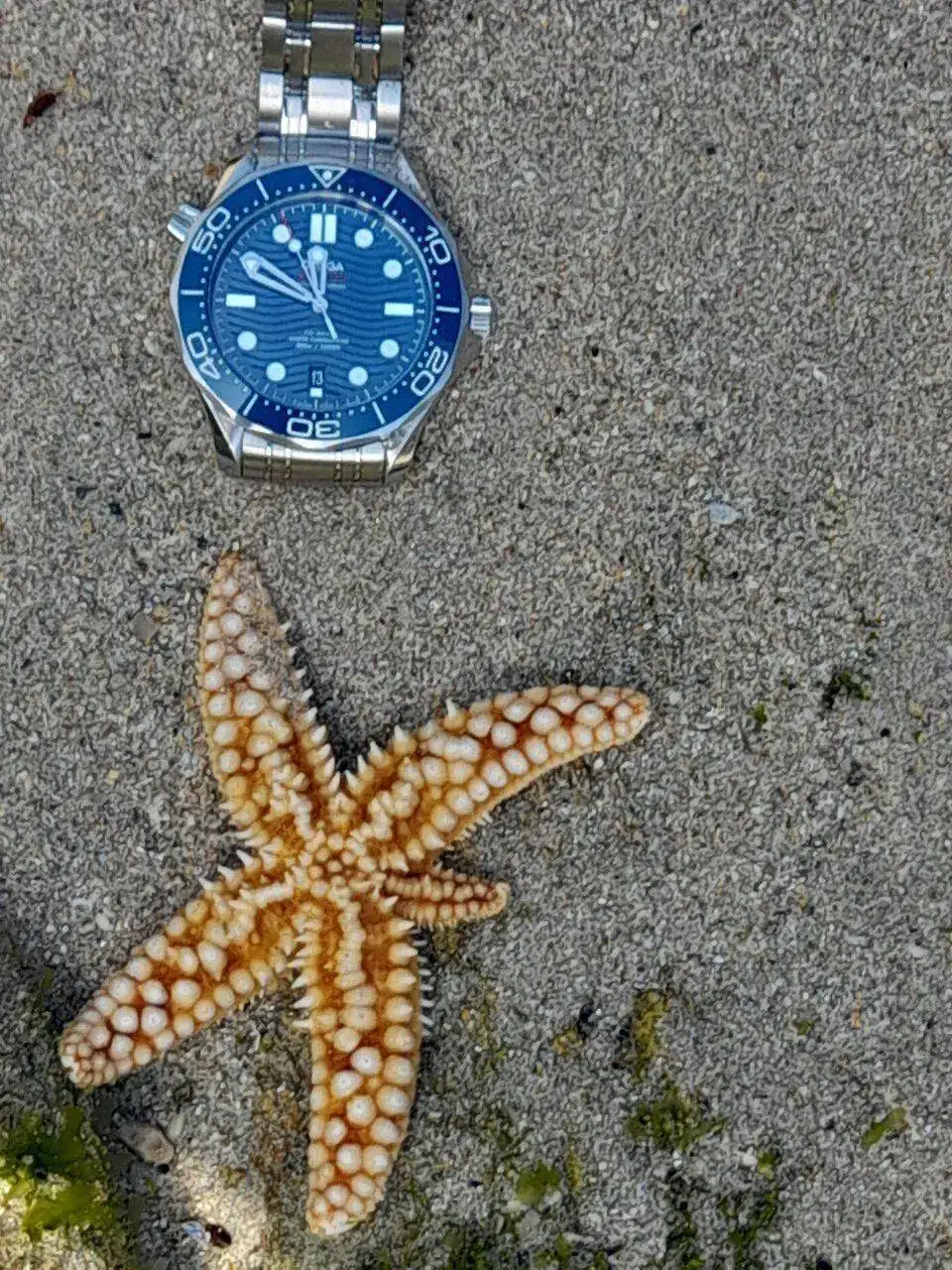 20220813_115001.jpg