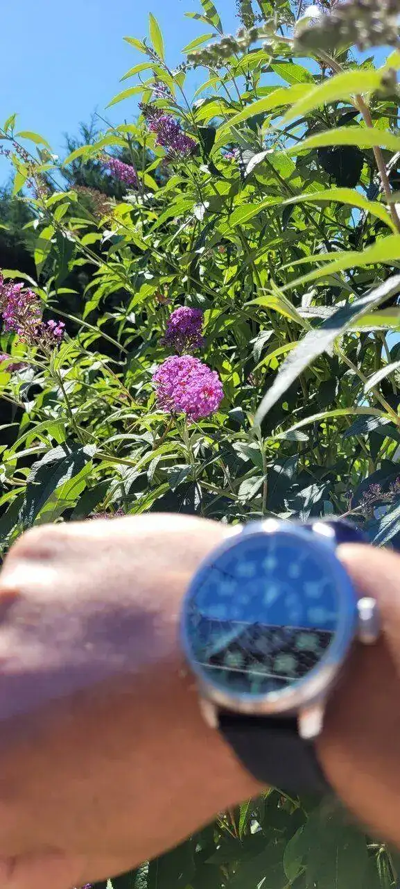 20220818_123845.jpg