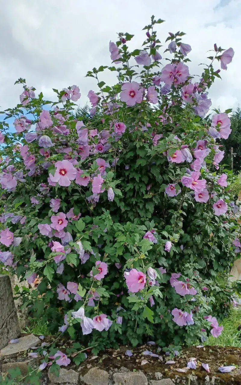 20220902_130917.jpg