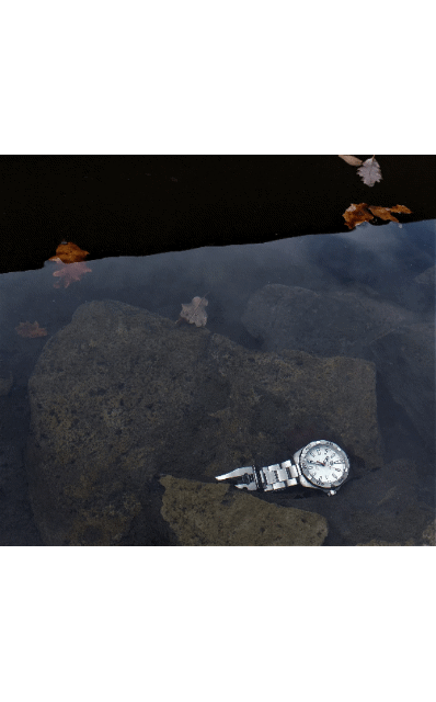 20220928_163859.gif