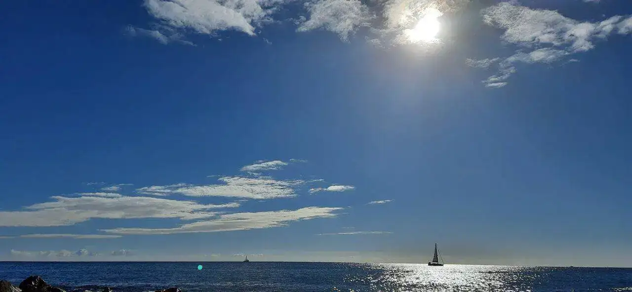 20221001_103121.webp