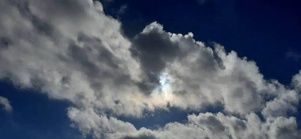 20221005_105553.jpg