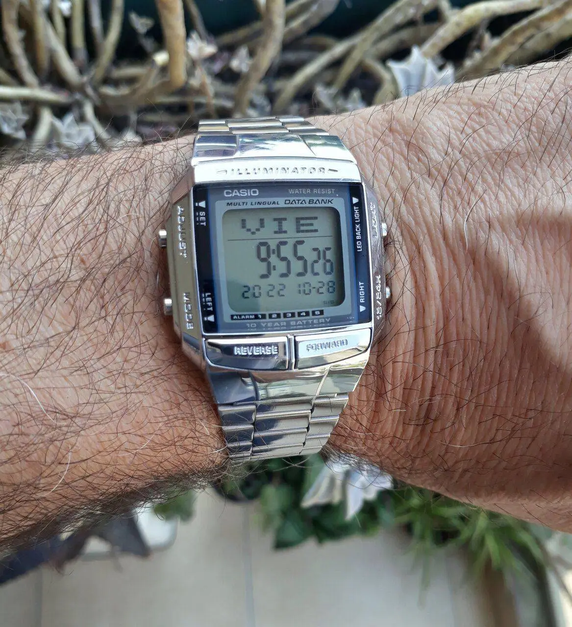 Casio db360 2024