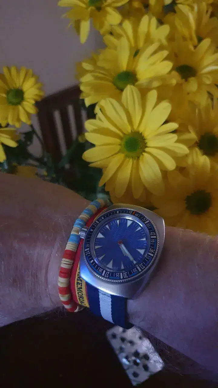 20221028_164145.jpg