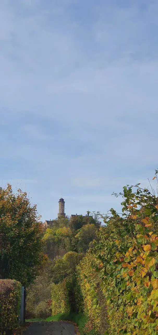 20221029_145324.webp