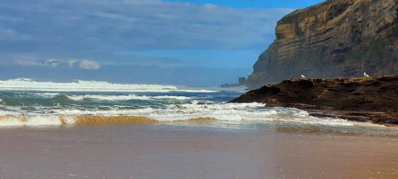 20221109_113907.jpg