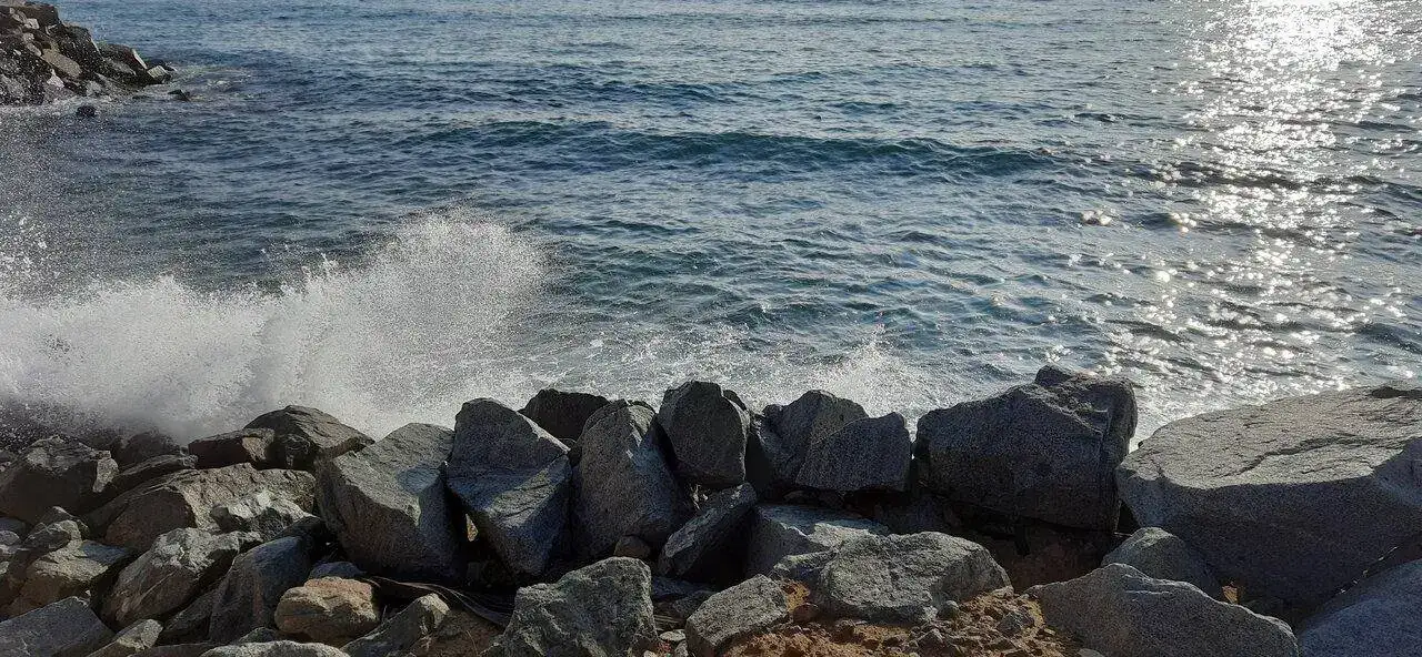 20221130_103247.webp