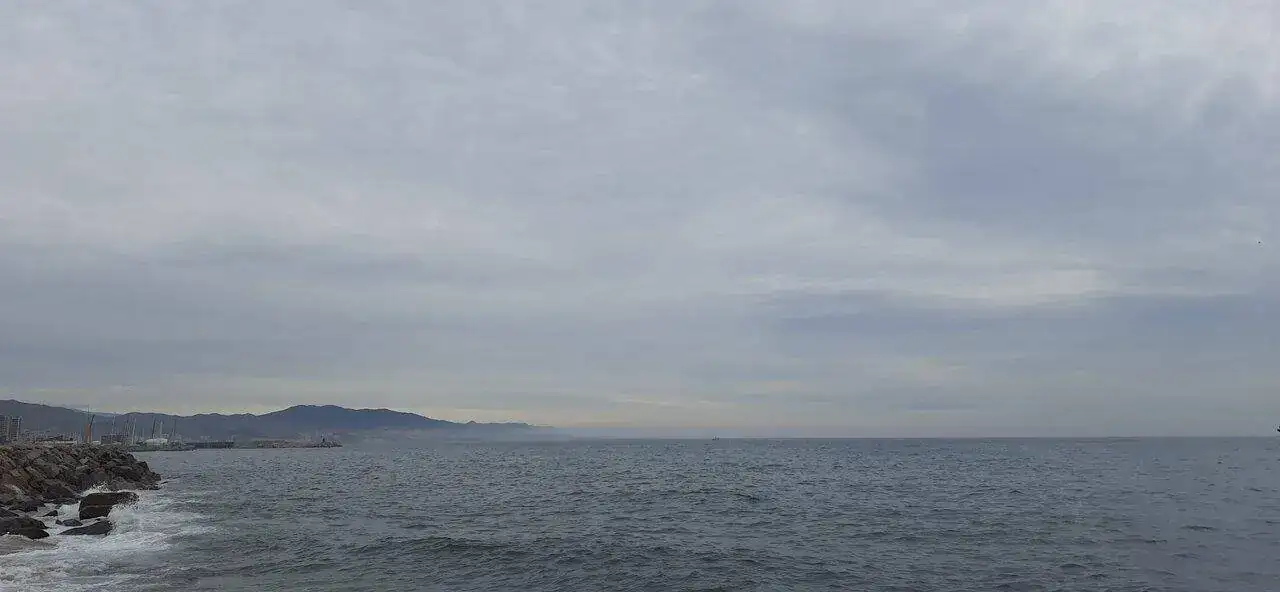 20221213_112613.webp