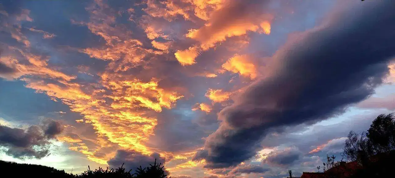 20221219_174349.jpg