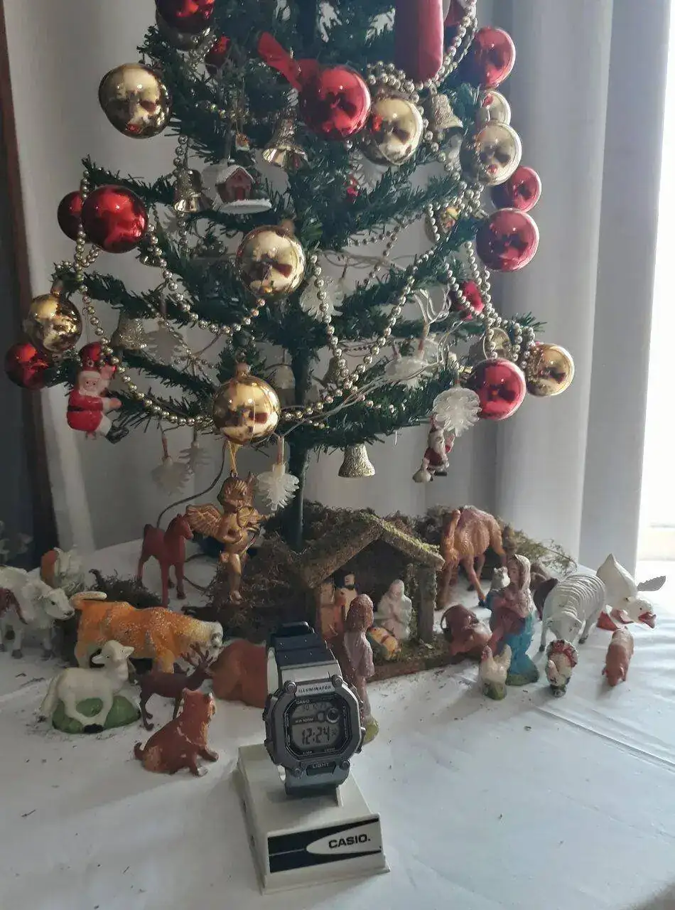 20221225_122436-01.webp