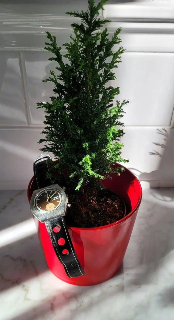 20230119_120814.webp