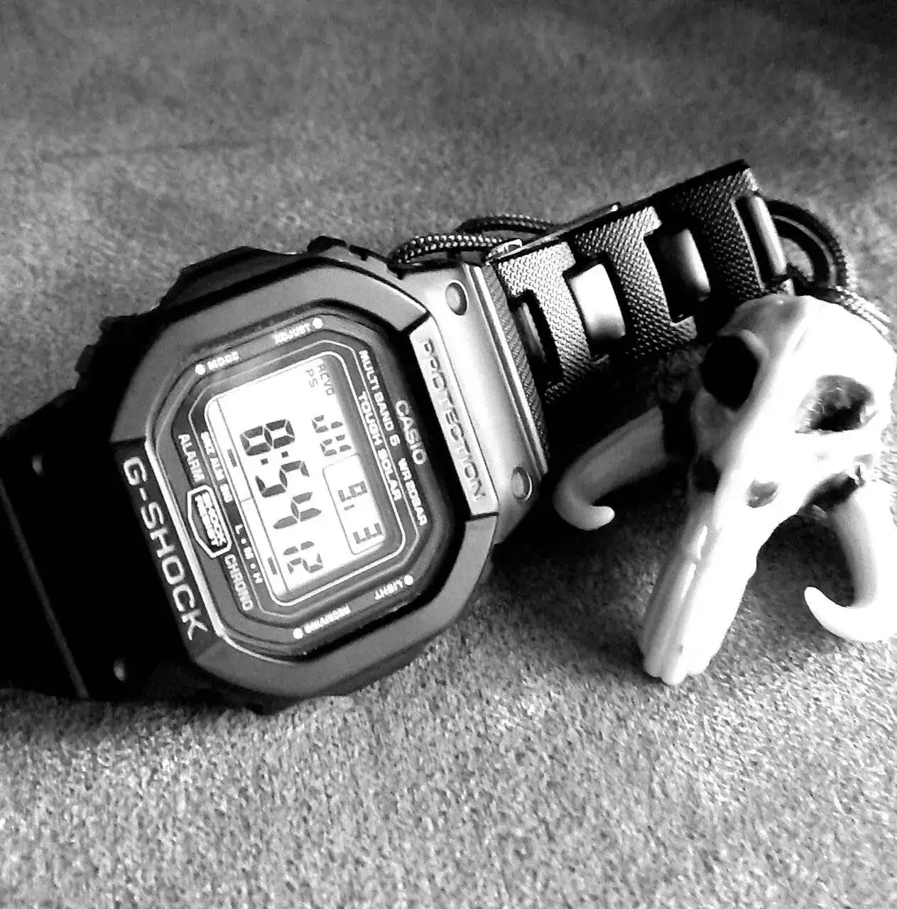 20230309_085414.jpg