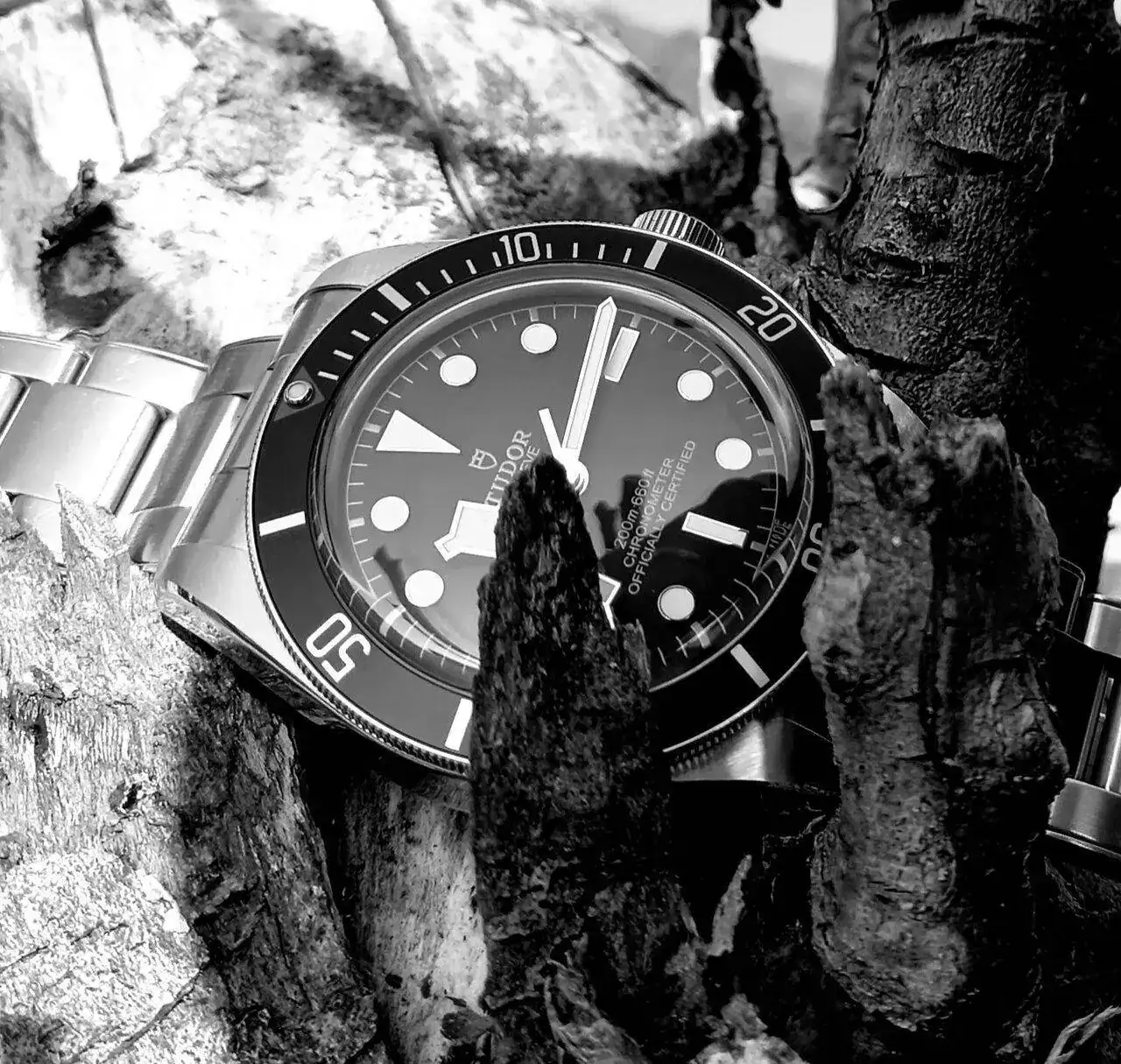 20230409_101341.webp