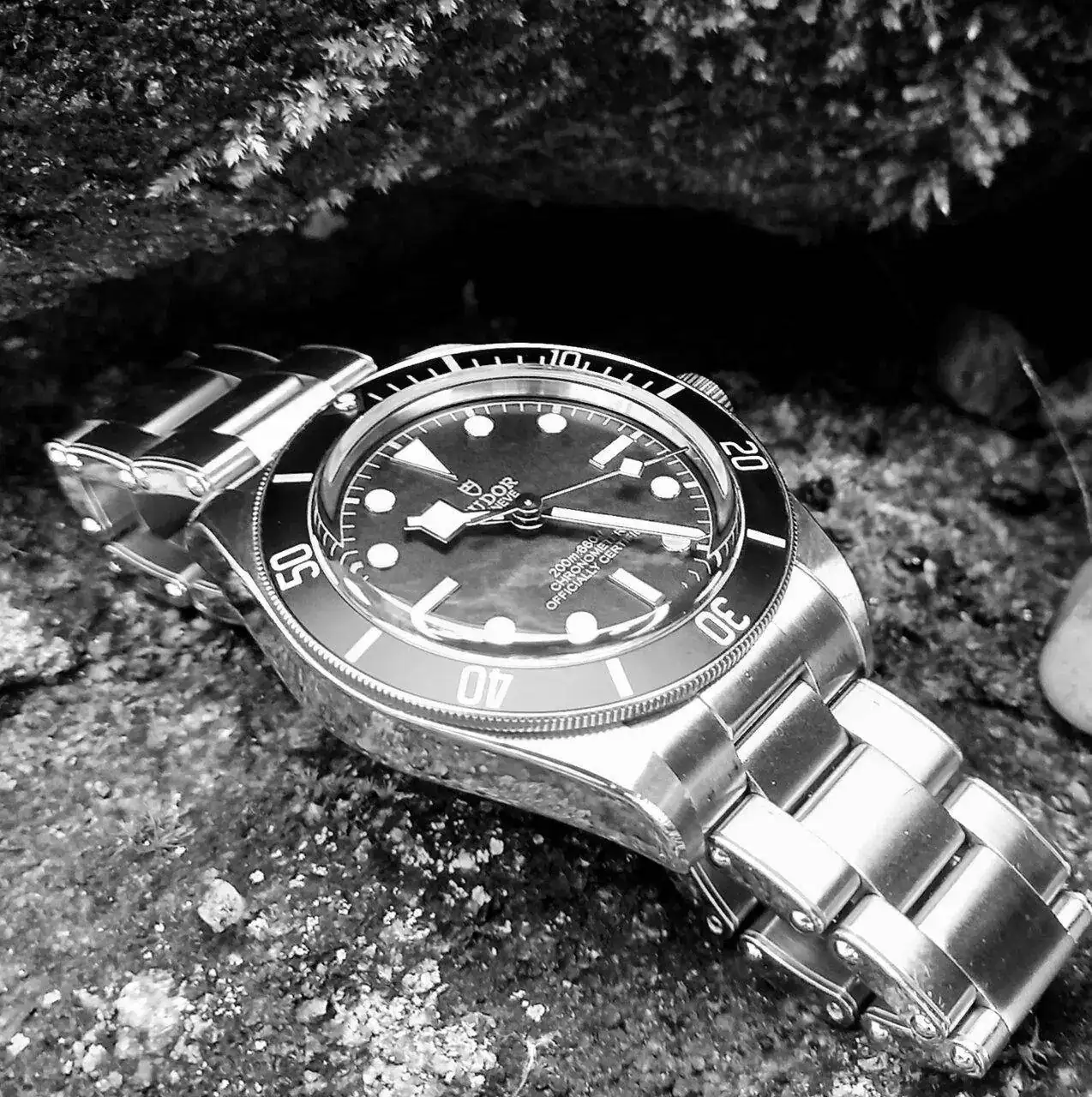 20230415_102519.webp