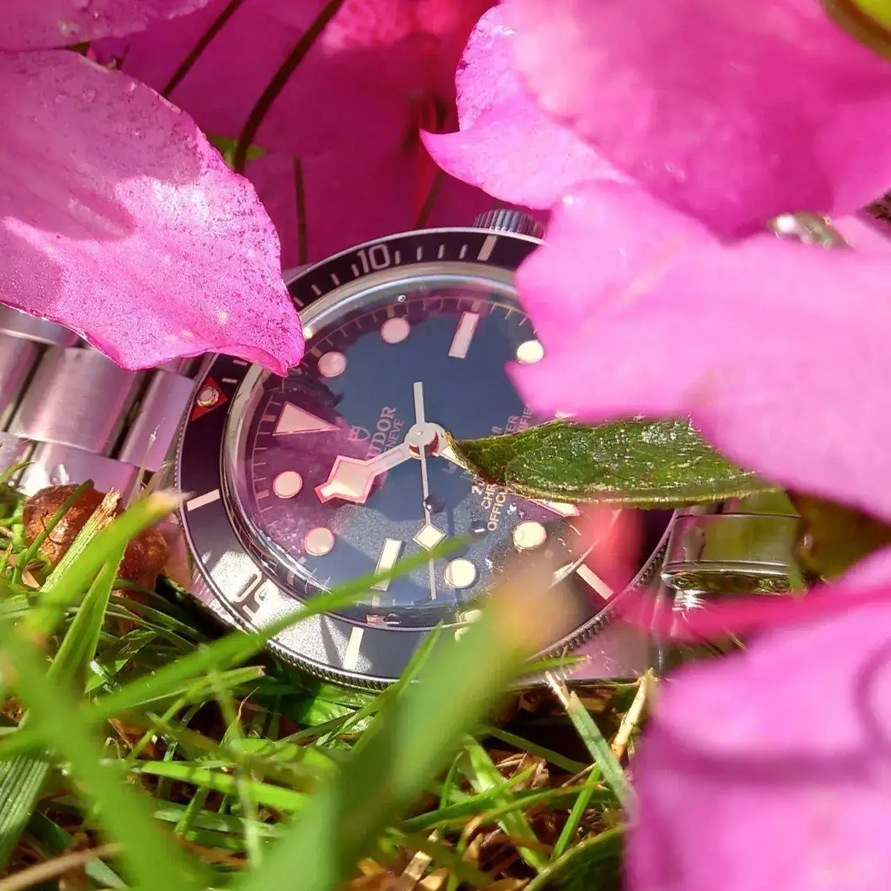 20230415_103242.webp
