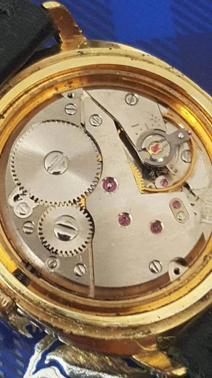 20230416_091608.jpg