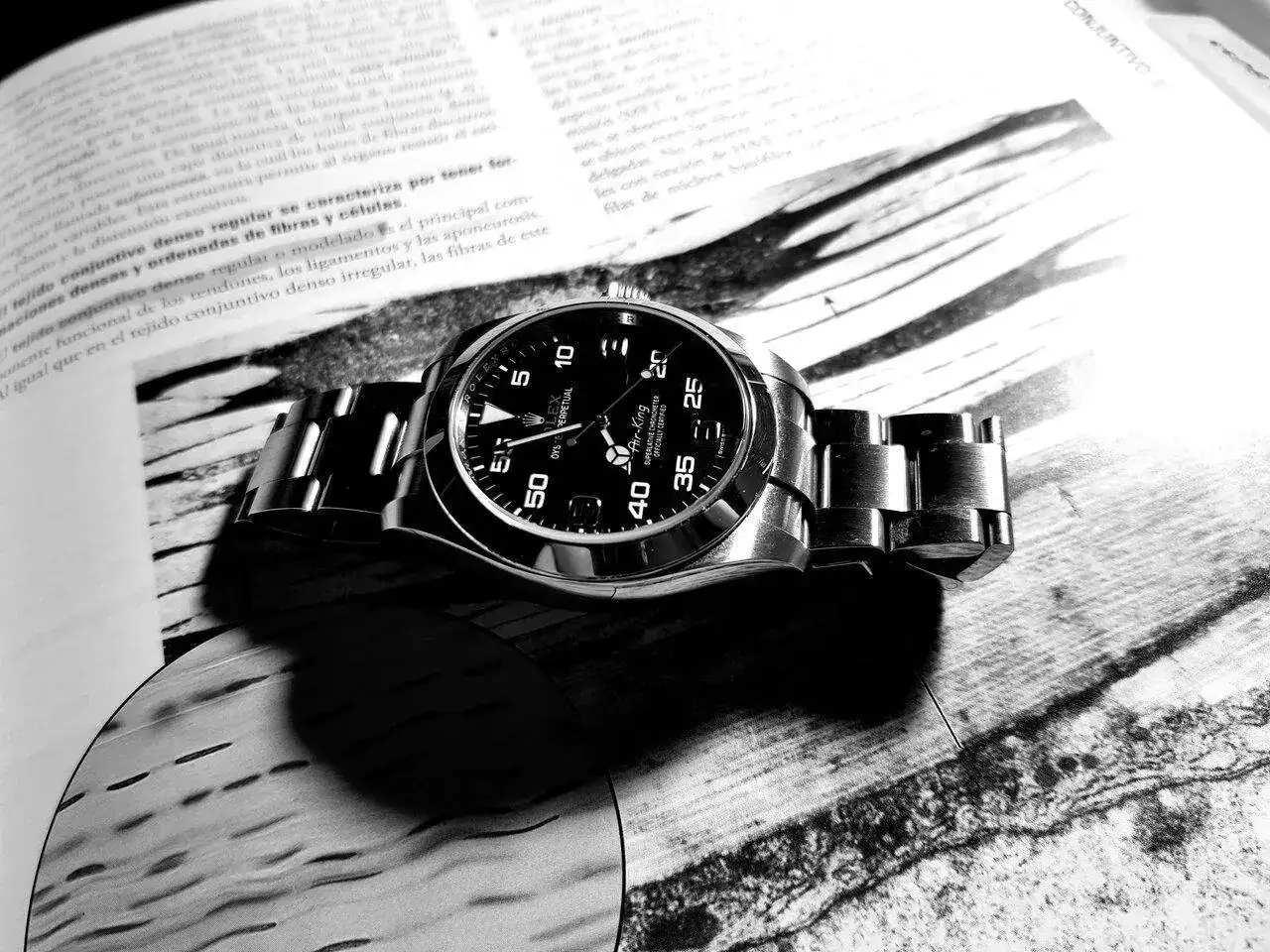 20230418_195458.webp