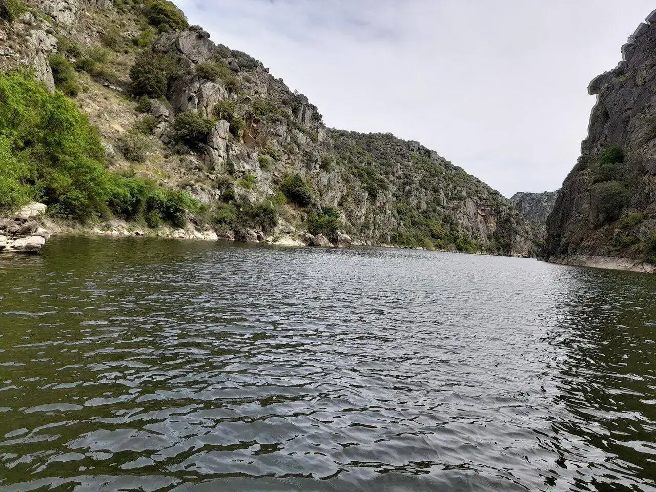 20230421_113558.webp
