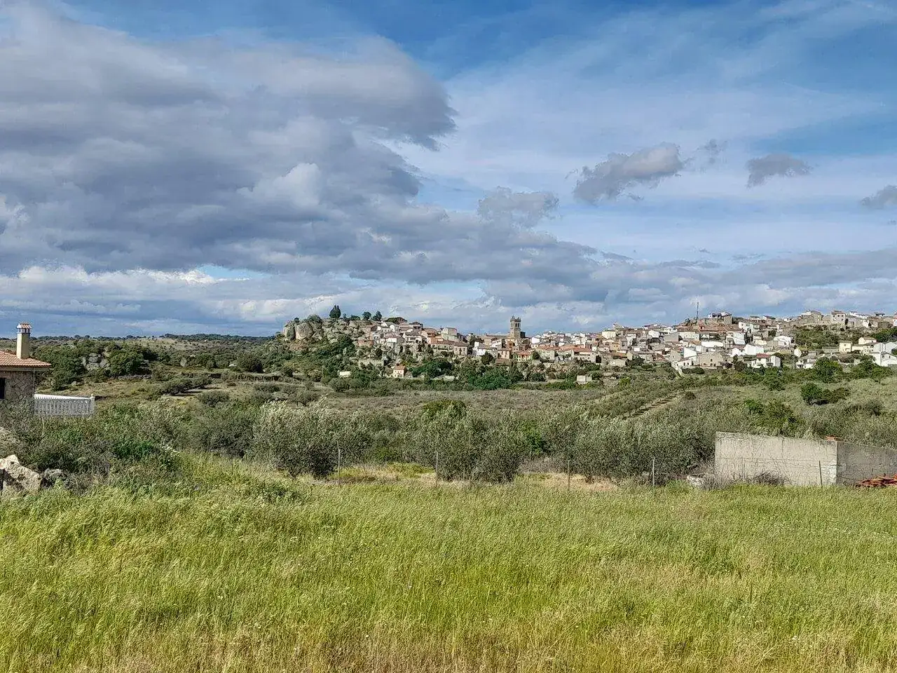 20230423_175837.webp
