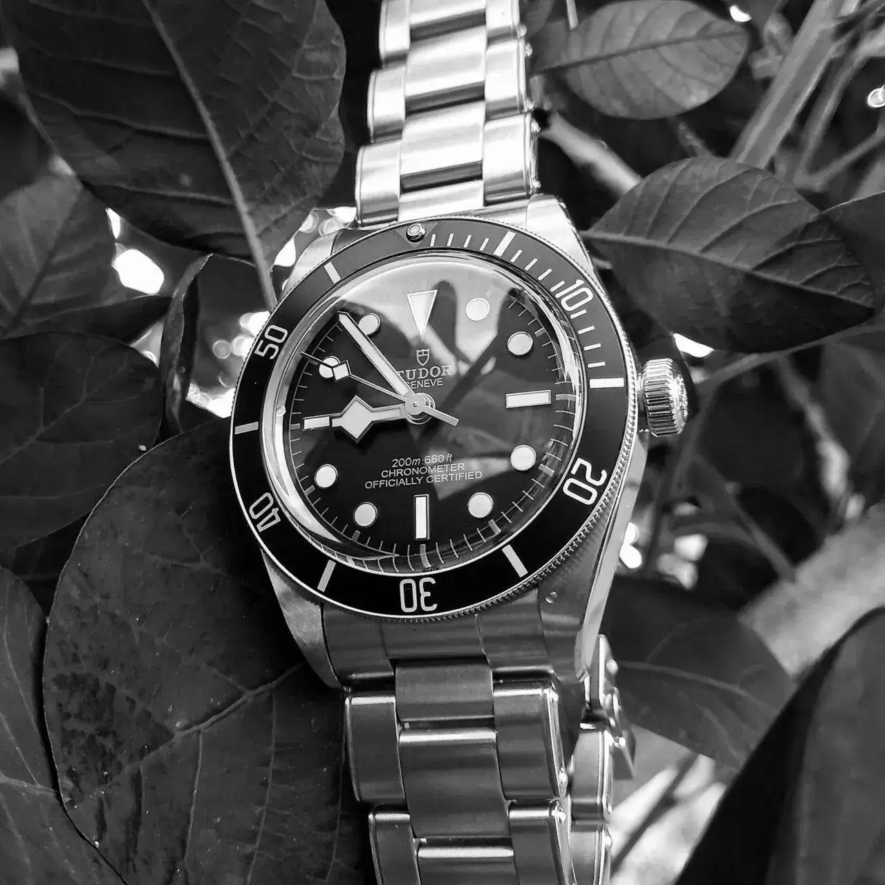 20230427_085352.webp