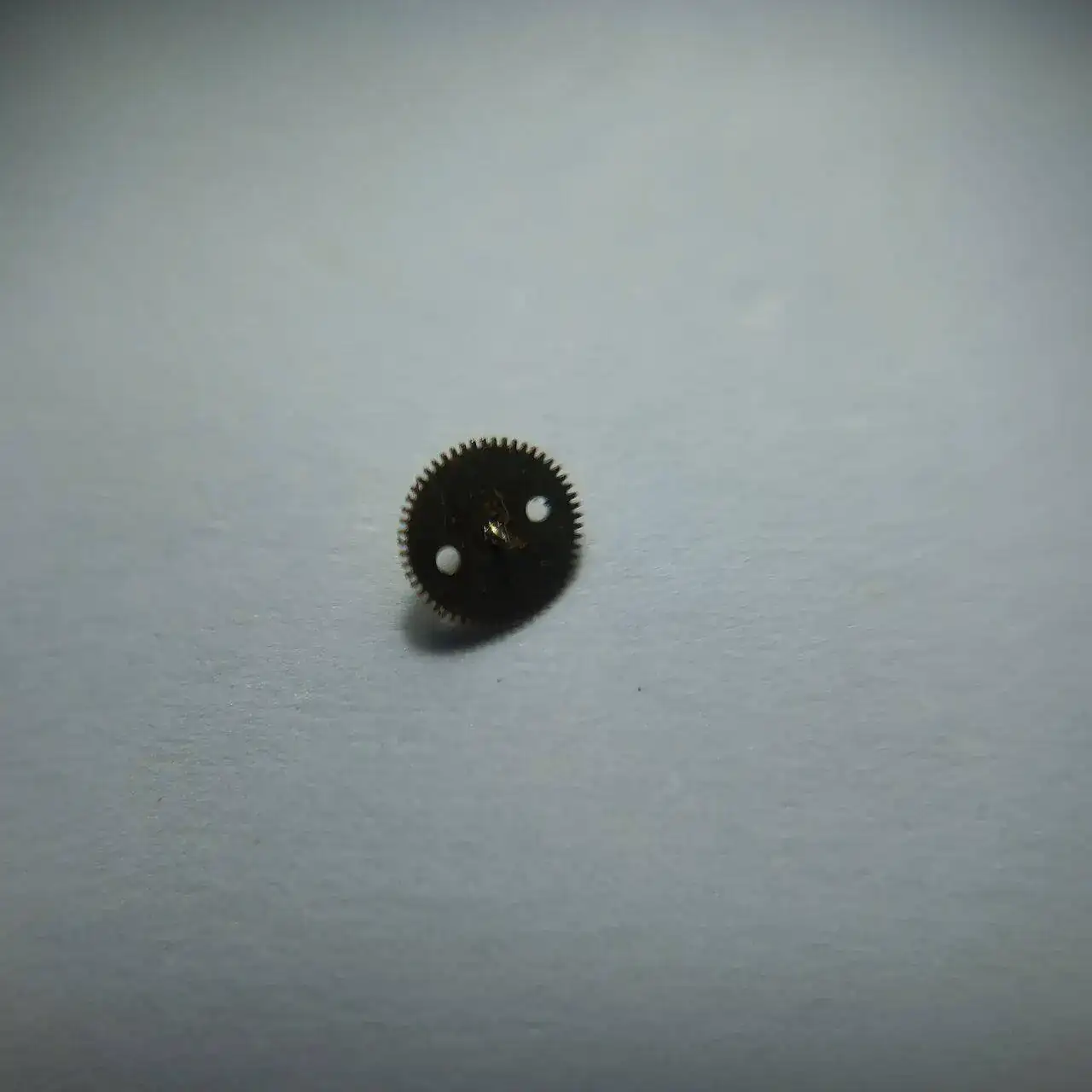 20230524_144118.jpg