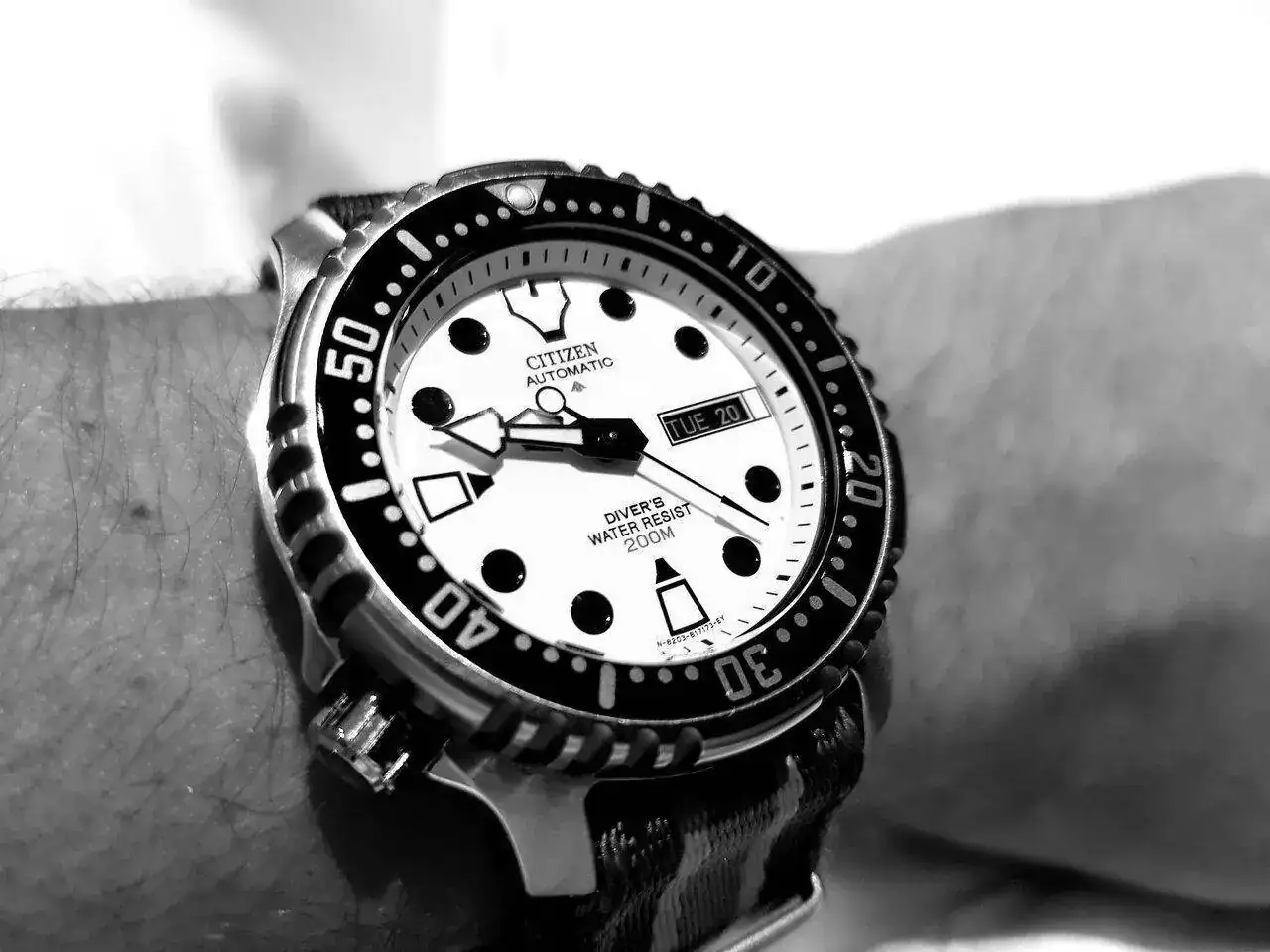 20230620_094616.webp