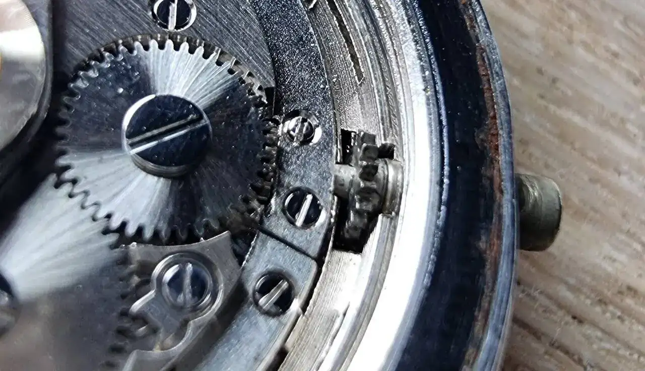 20230704_194606.jpg