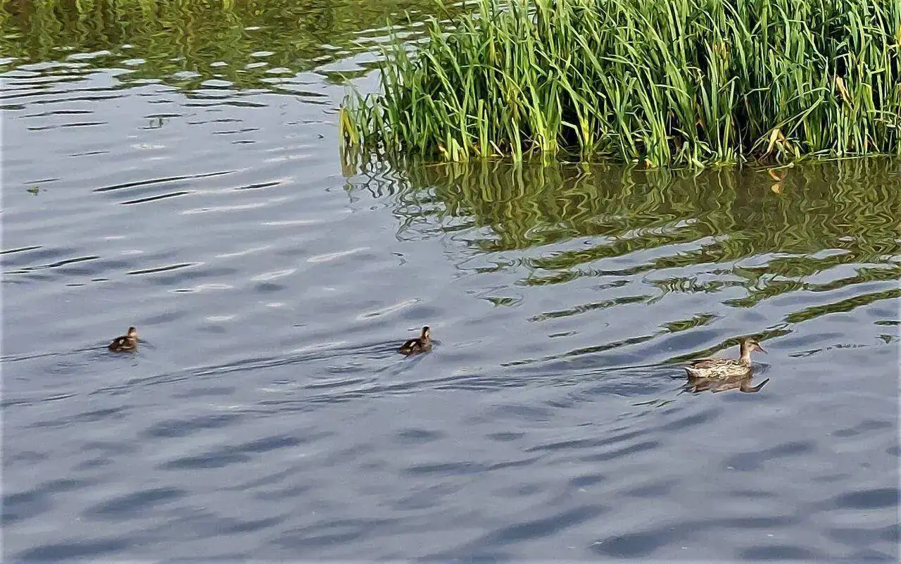 20230707_104725.webp