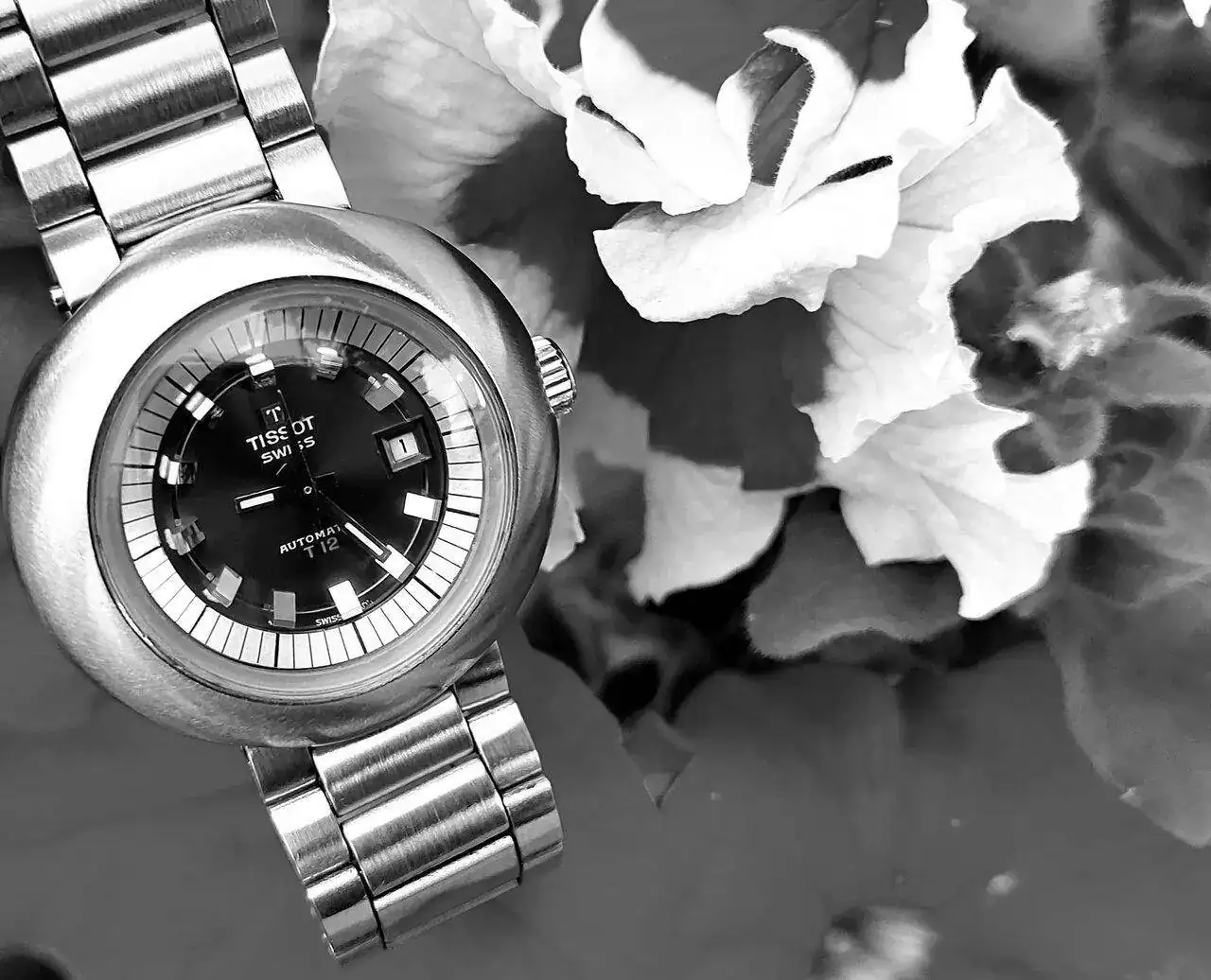 20230716_093851.webp