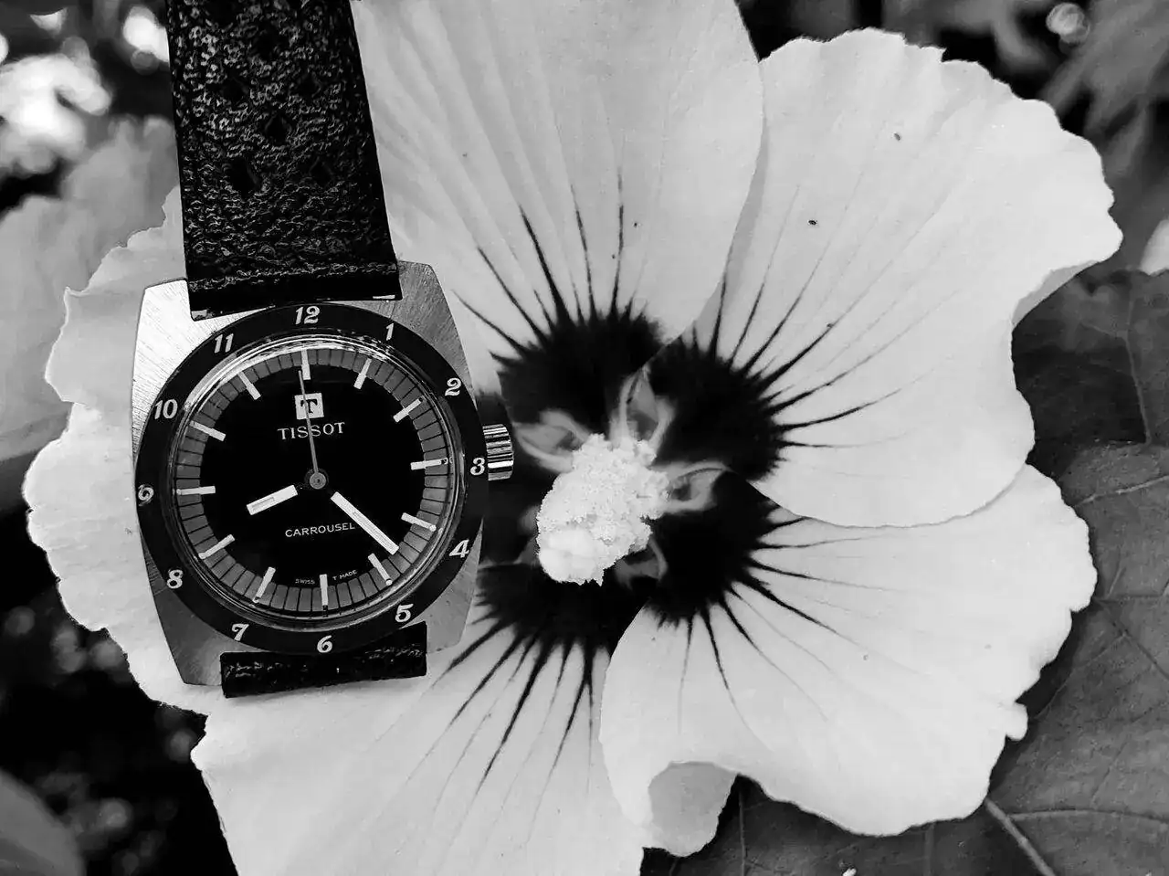 20230802_082722.webp