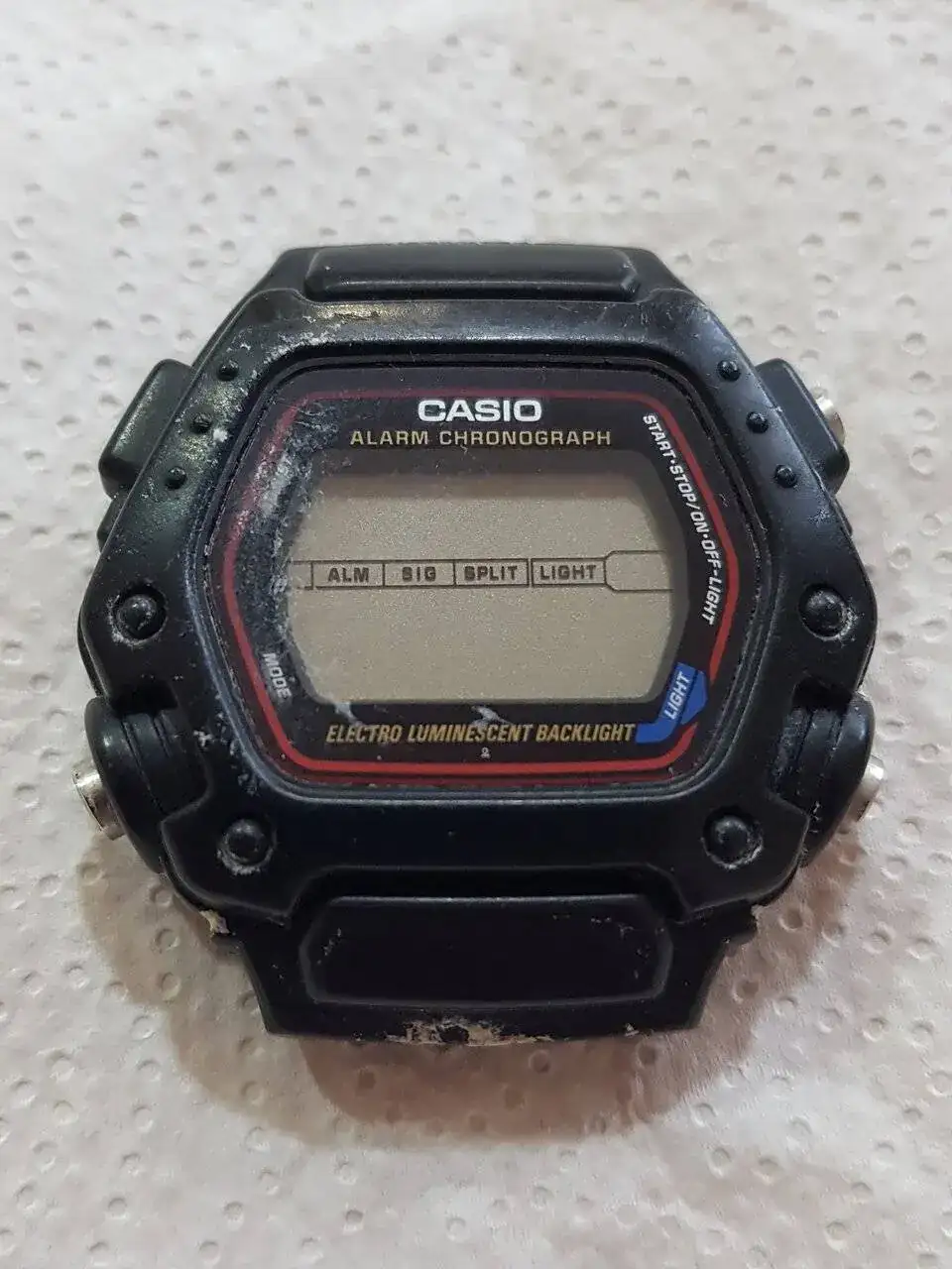 20230811_195350.jpg