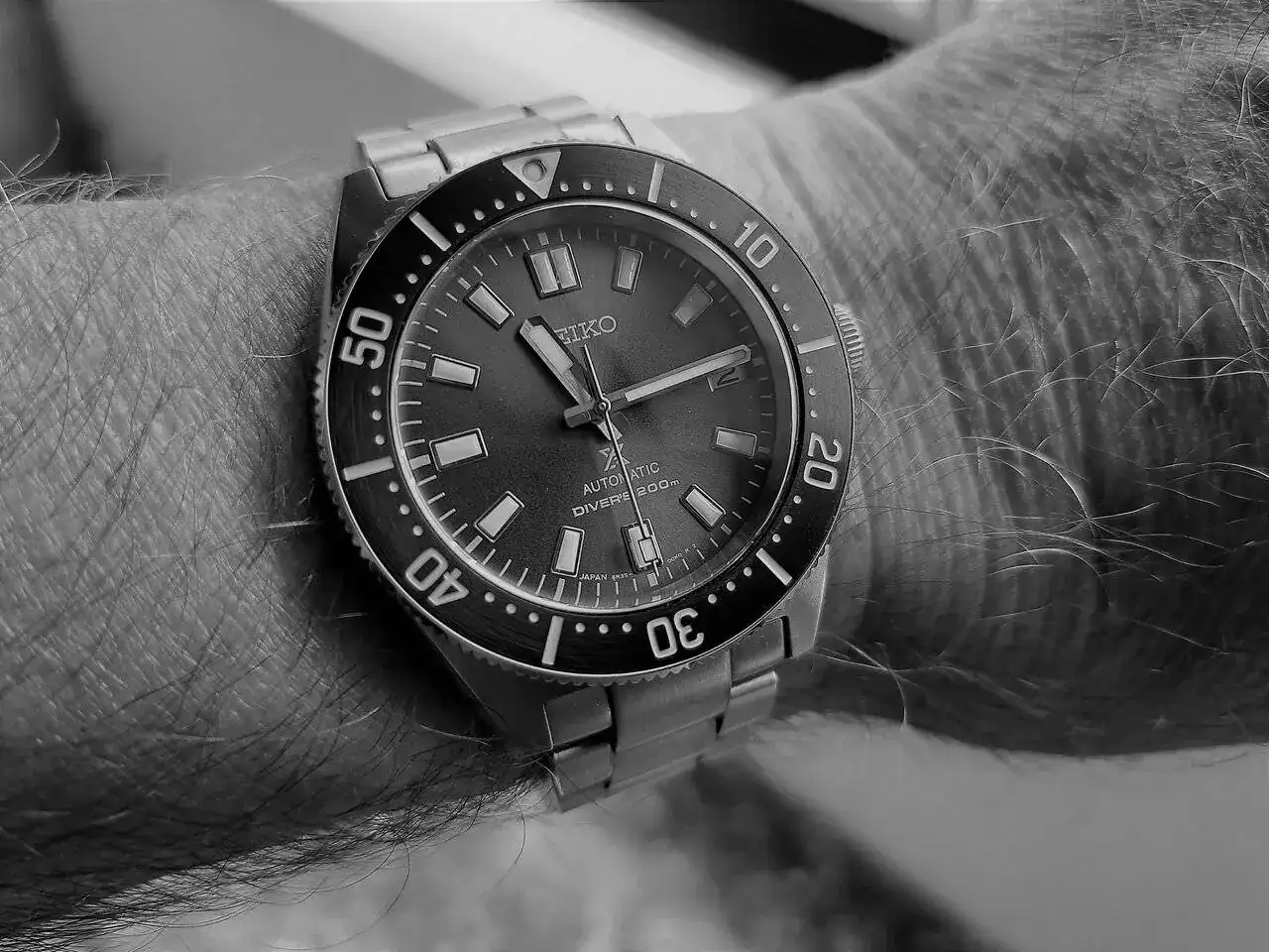 20230902_111423 negro.webp