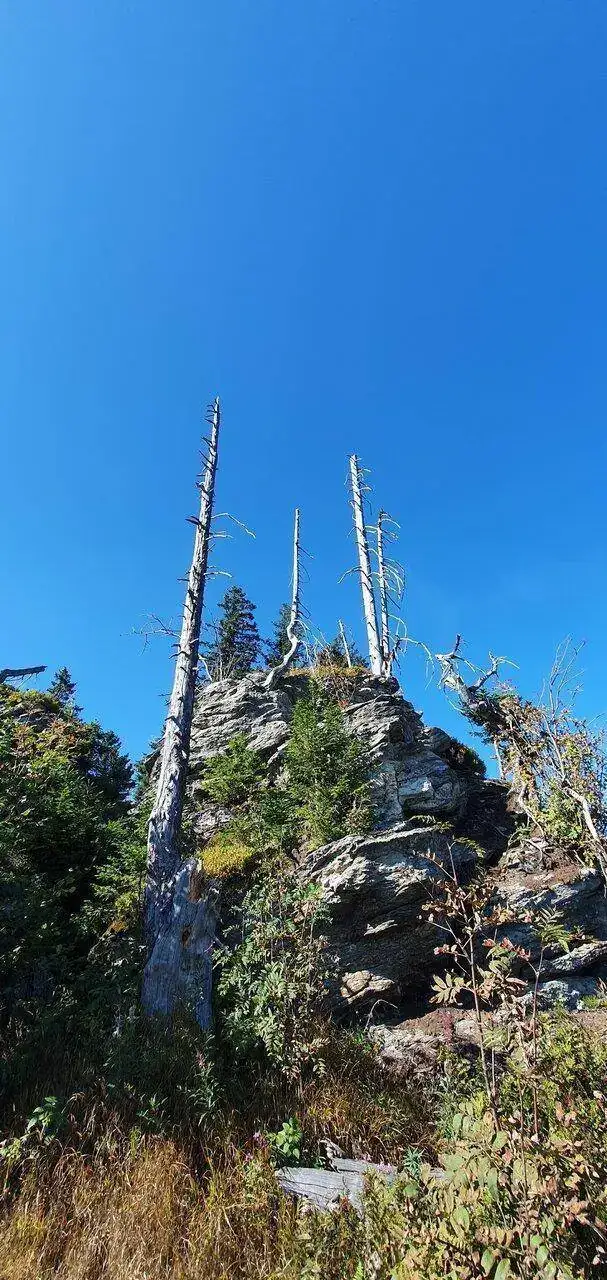 20230909_153134.webp