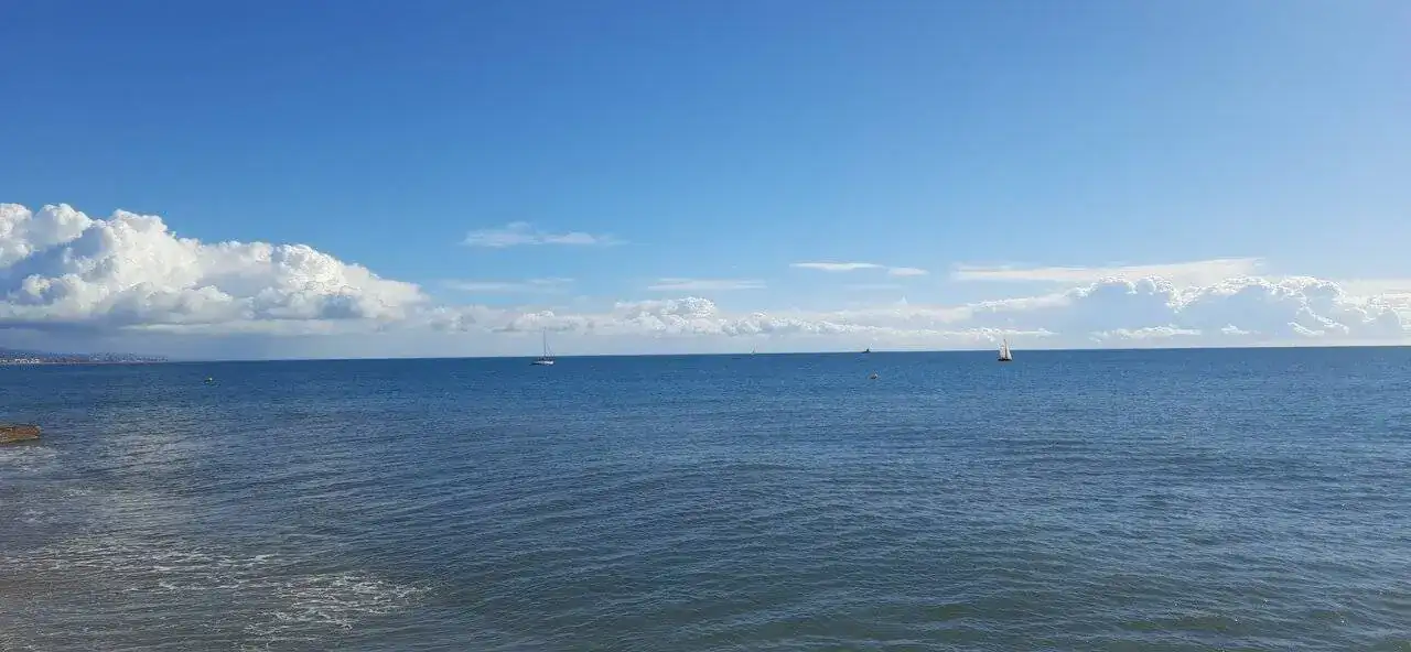 20231021_111901.jpg