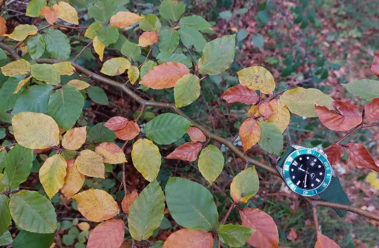 20231107_114050.webp