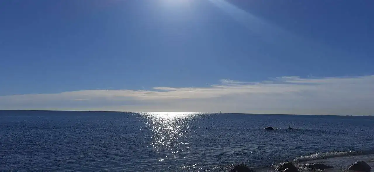20231108_110536.webp