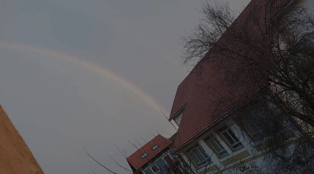 20231129_083053.jpg