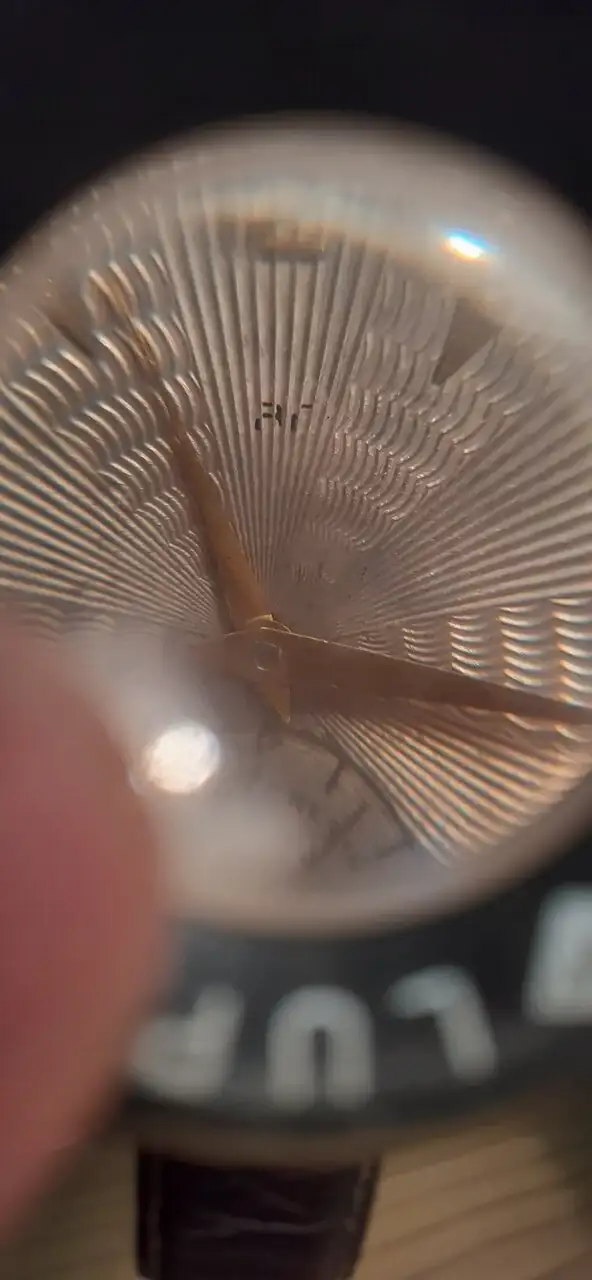 20231130_191950[1].webp
