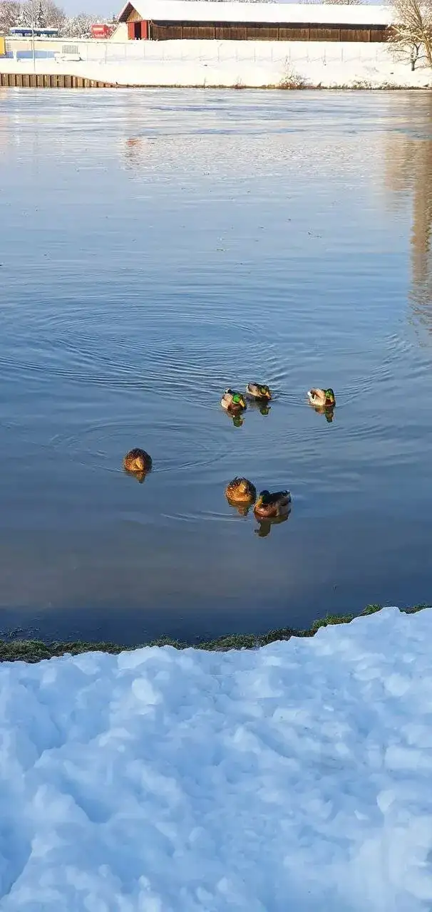 20231203_141239.webp
