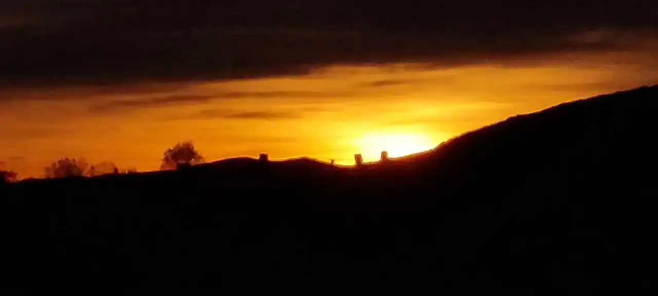 20231211_084852.webp