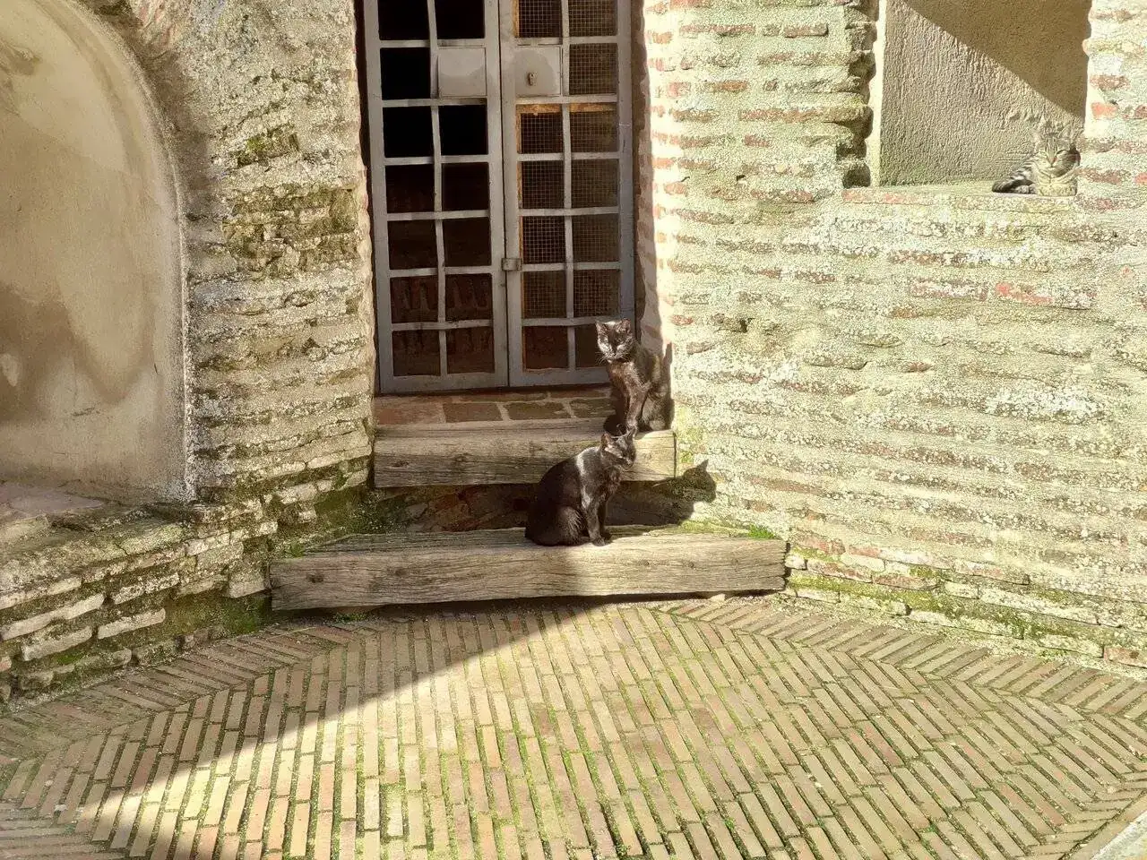 2024-02-17 16.26.53.webp