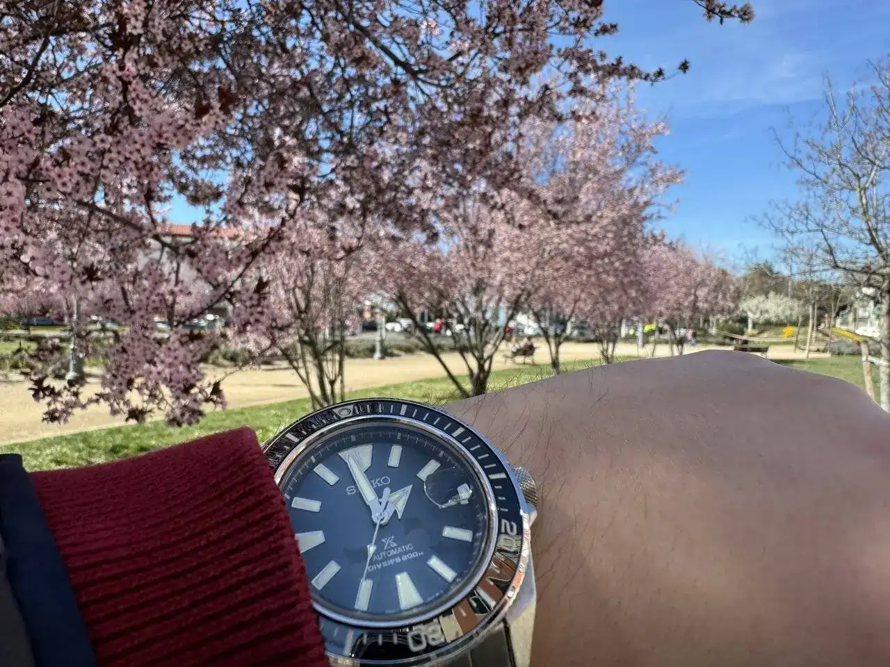 2024-03-13 13.57.41.webp