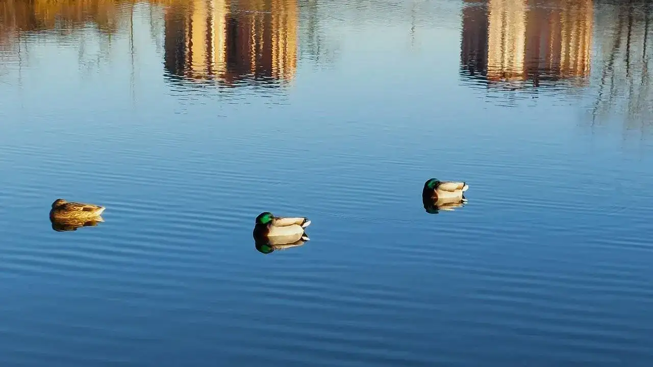 20240108_093647c.webp