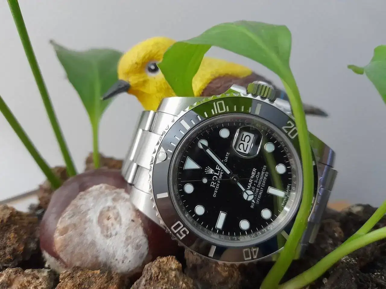 20240124_212050.webp