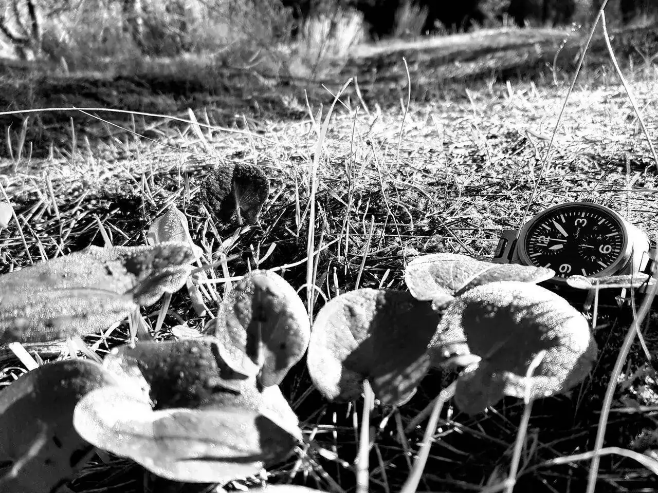 20240128_110822.jpg