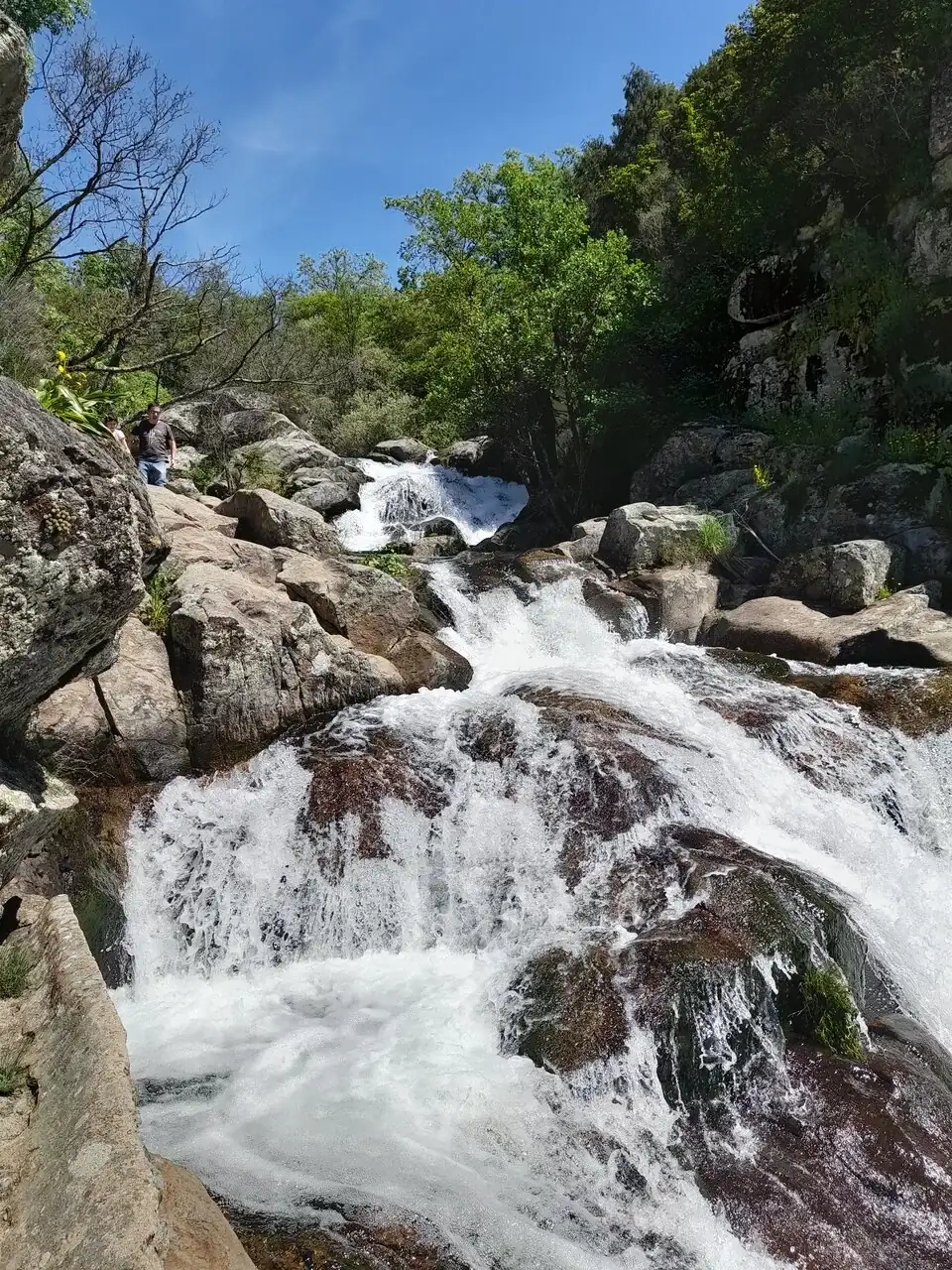 20240414_133322.webp
