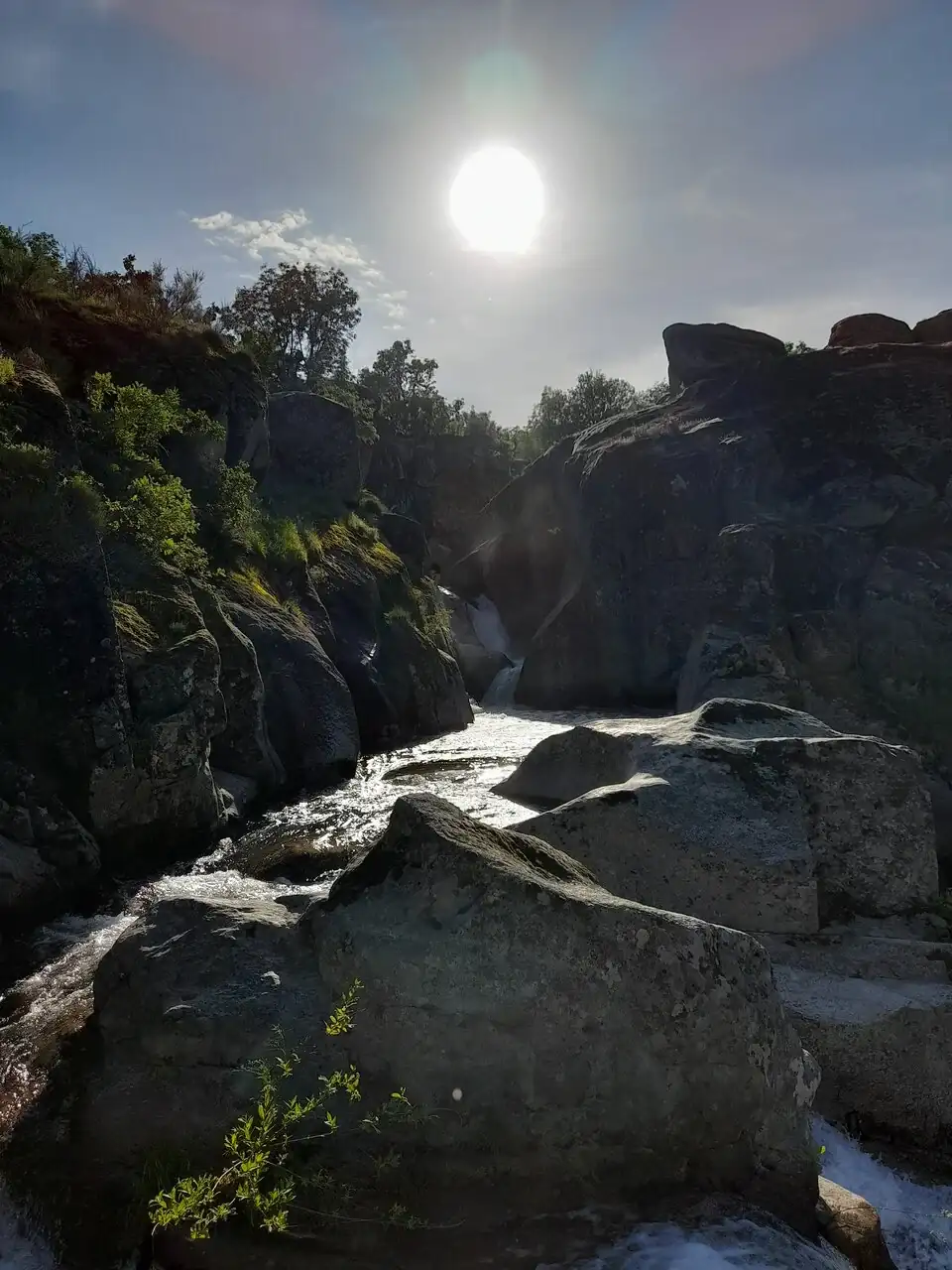 20240414_183850.webp