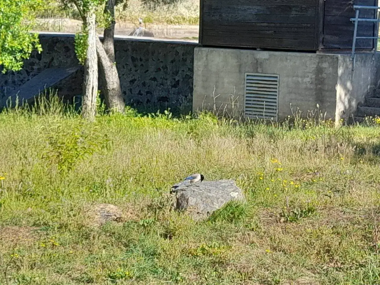 20240528_095511.webp