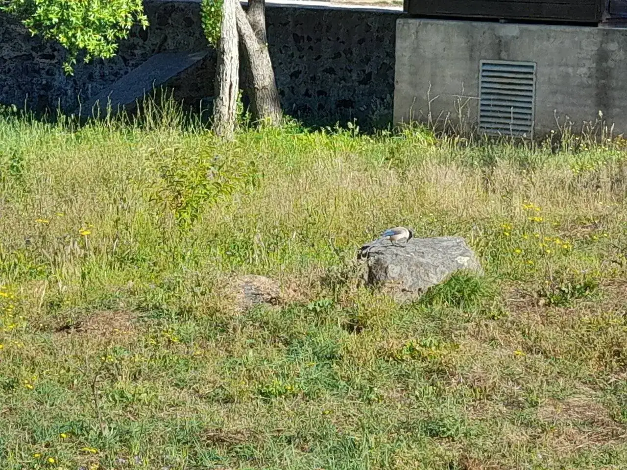 20240528_095514.webp